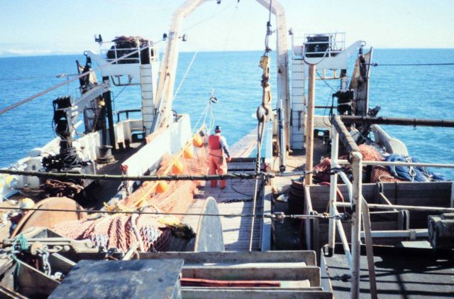Photo - 1 - Streaming net during trawling operations Picture