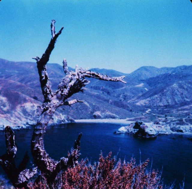 A quiet cove on the west side of Santa Catalina Island. Picture