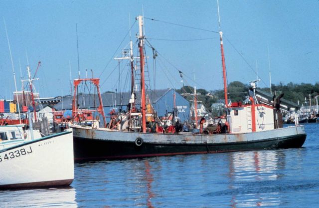 Gloucester waterfront Picture