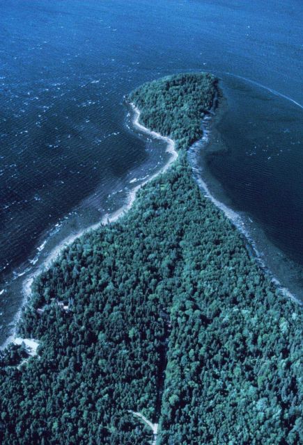 Apparently a tree-covered peninsula with a rocky shoreline Picture
