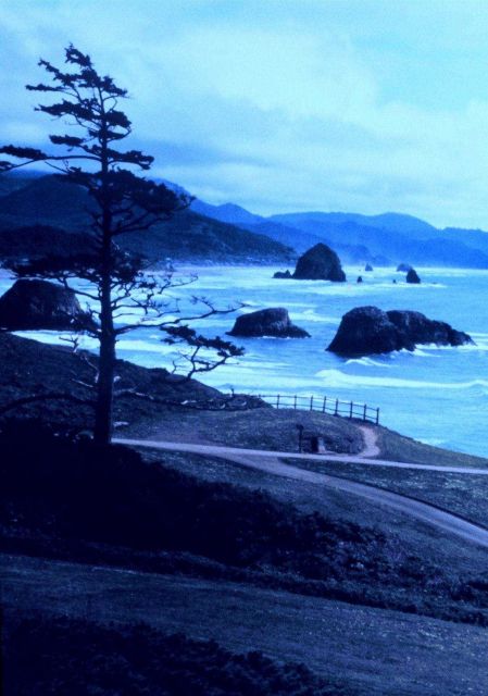 Looking south at Ecola State Park, about 5 miles south of Seaside. Picture