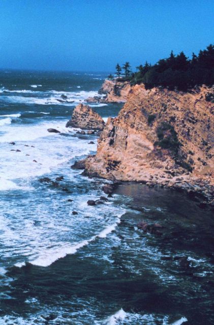 Near Shore Acres State Park, west of Coos Bay. Picture