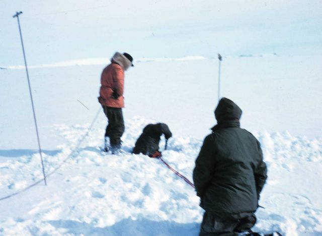 Checking out a crevasse McMurdo Station to South Pole traverse Picture
