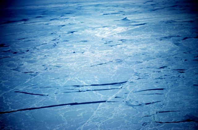 Cracks in sea ice as seen from the air Picture