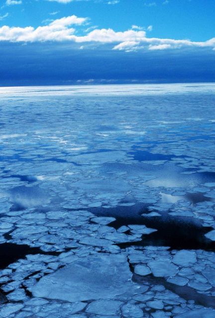 Small ice floes in open water as seen from the bridge of the NATHANIEL B Picture