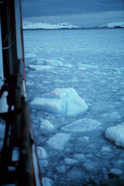 Brash ice near Palmer Station at the end of the Antarctic Peninsula. Picture