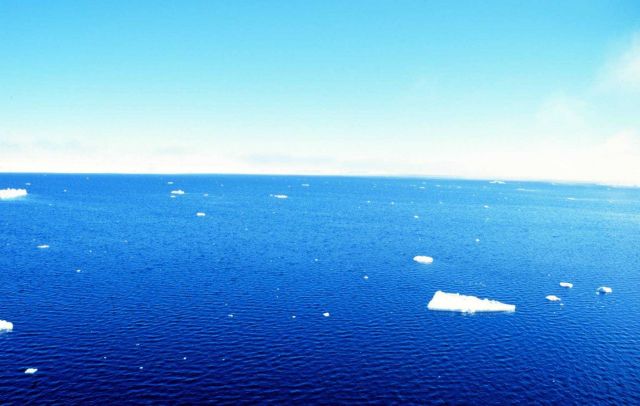 Drifting bits of sea ice Picture