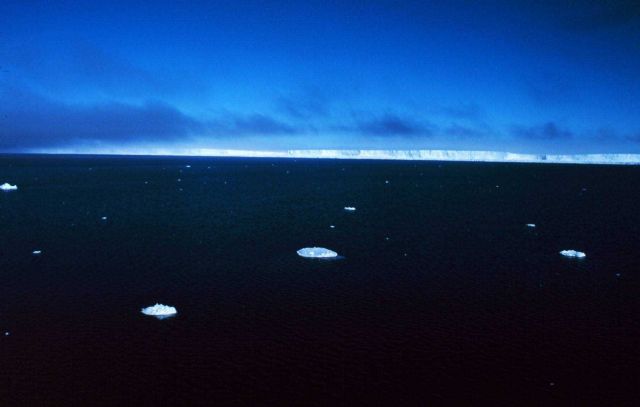 Drifting bits of sea ice Picture