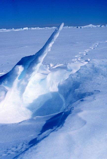 Sculpted sea ice Picture
