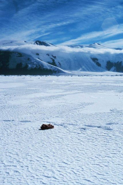 Glove for scale on sea ice Picture