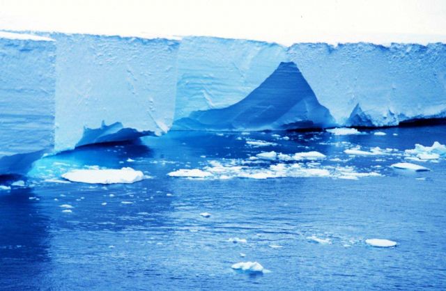 The seaward edge of the floating Ross Ice Shelf Picture