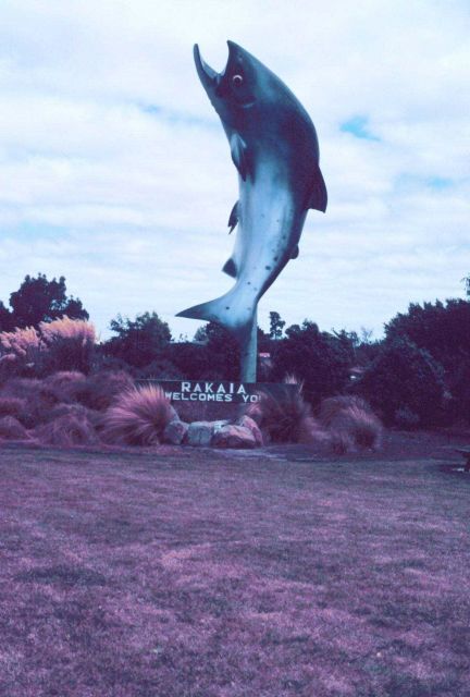 Entering New Zealand's Salmon fishing region Picture