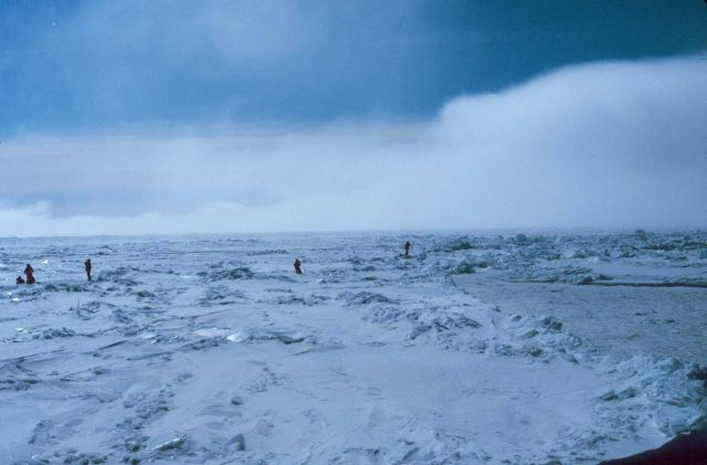 Rough sea ice near Ross Island Picture