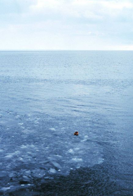 Drifting hard hat overboard in the Ross Sea in the midst of newly forming ice. Picture