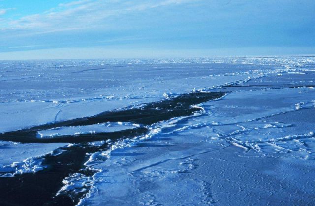 Open water wake in the sea ice. Picture