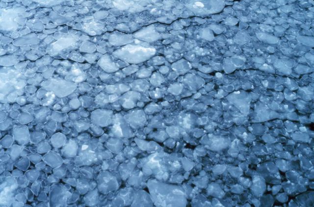 Small pancake ice Picture