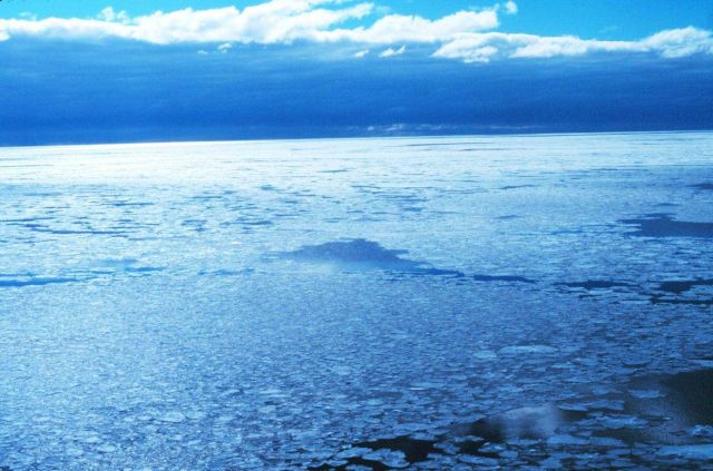 Pancake ice adrift on the Ross Sea Picture