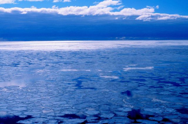 Pancake ice adrift on the Ross Sea Picture