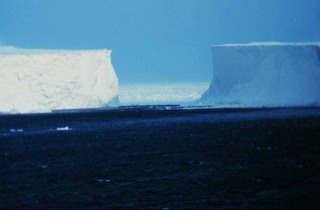 Icebergs grounded on Pennel Bank Picture