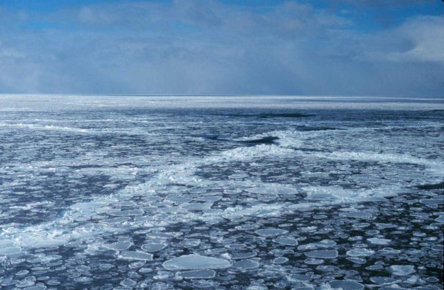 Pancake ice adrift on the Ross Sea. Picture