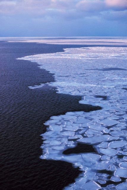 Pancake ice adrift on the Ross Sea. Picture