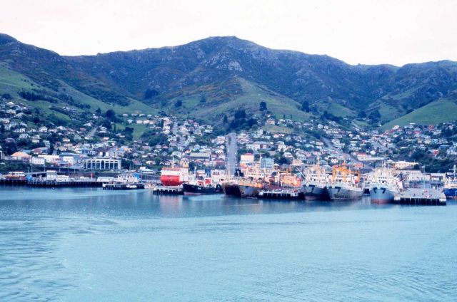 Lyttleton Harbor, New Zealand Picture