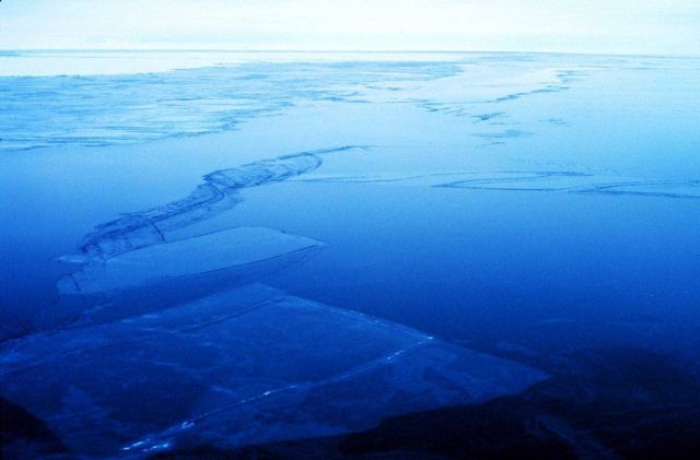 Thin rafted sea ice Picture