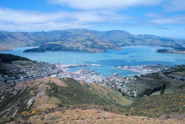 Lyttleton Harbor, New Zealand Picture