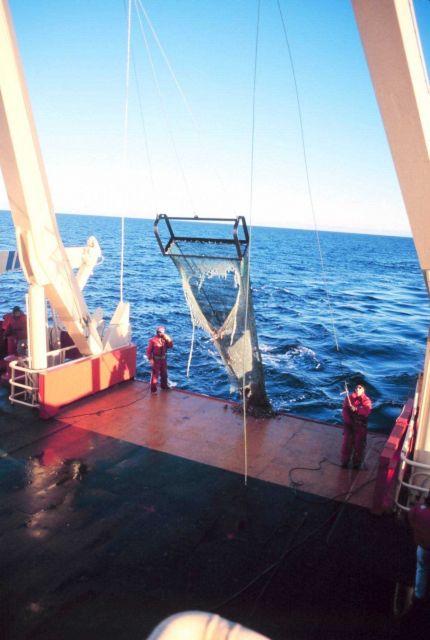 Net tow over the fantail of the NATHANIEL B Picture