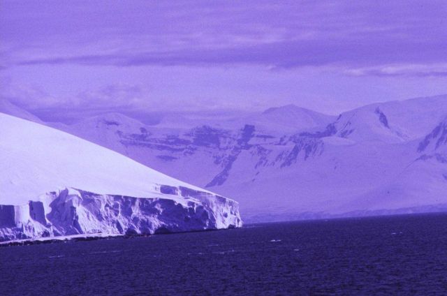 Where ice meets the sea. Picture