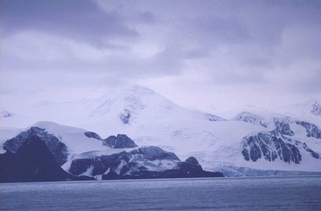 King George Island. Picture