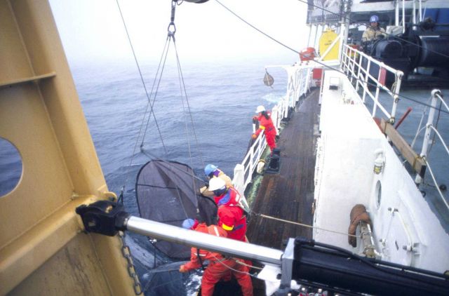 Net tow ops on Surveyor. Picture