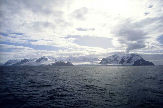 King George Island. Picture