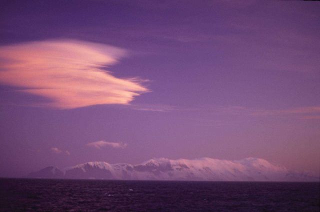 Elephant Island Picture