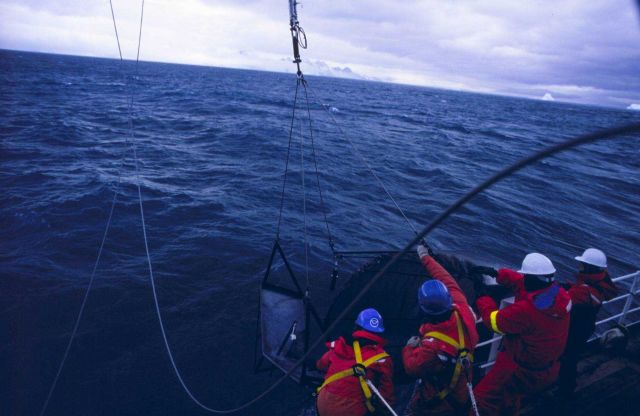 Bringing the sampling net on deck Picture