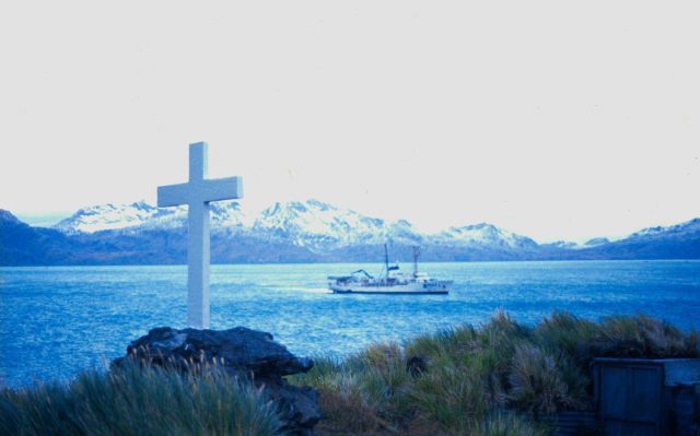 Surveyor at anchor in King Edward Cove Picture