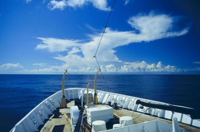 Surveyor in the Tropics Picture