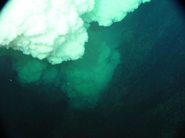 Pacific Ring of Fire Expedition Picture