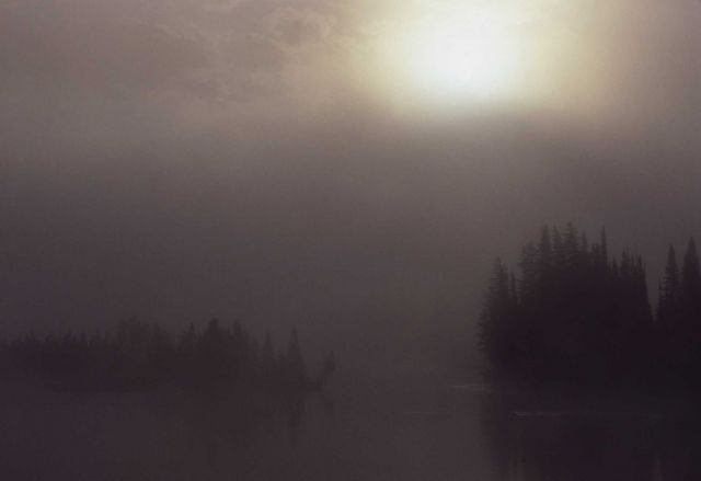 Sunrise/morning fog Picture