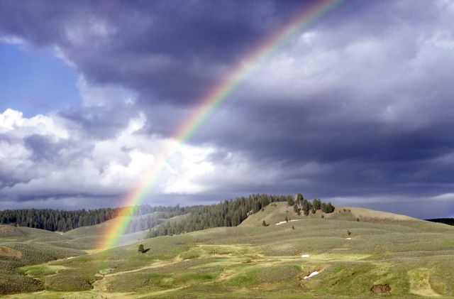 Rainbow in Hayden Valley Picture