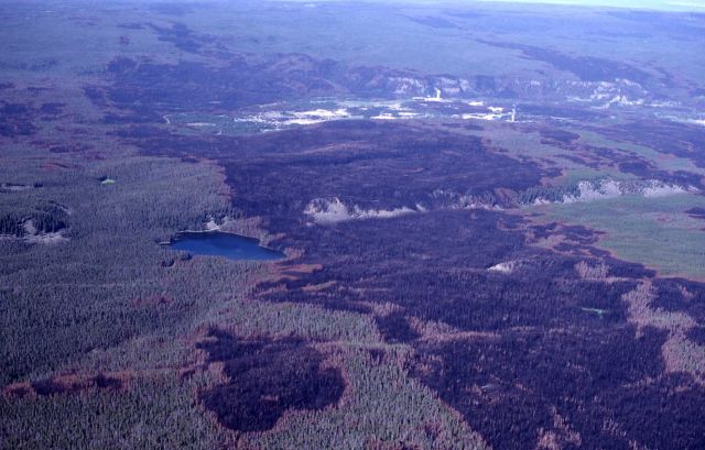 Burn pattern in Upper Geyser Basin, Old Faithful erupting Picture