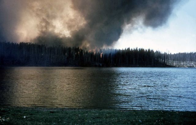 White Lake fire Picture
