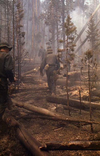 Firefighters Picture