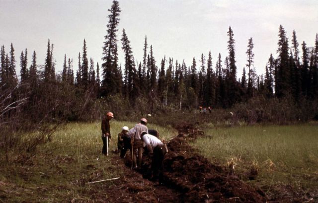Alaska fires, Bear fire Picture