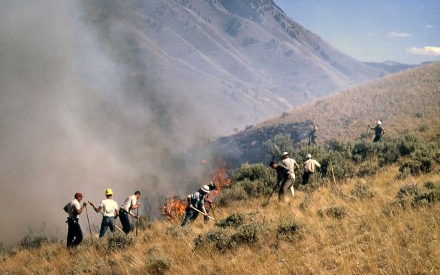 Crew fighting brush fire near Mammoth Hot Springs campground Picture