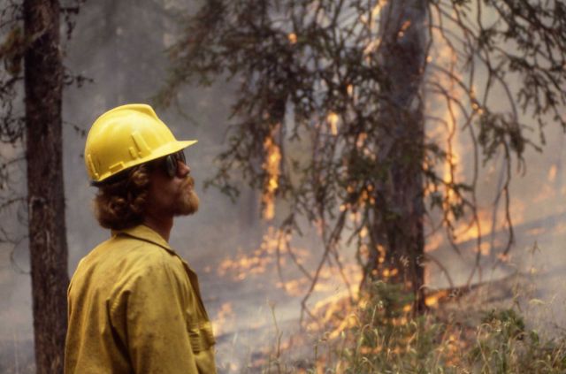 Firefighter watching fire in background Picture