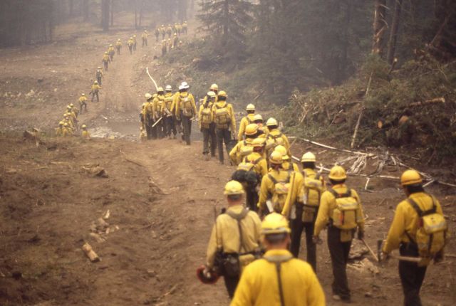 Military fire crews walking to buses at northeast entrance Picture