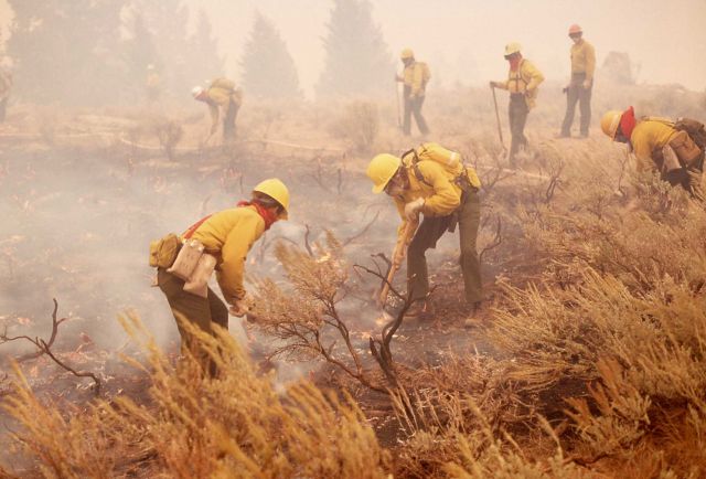 Group of firefighters putting out brush fire in smokey conditions Picture