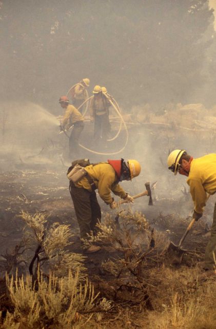 Group of firefighters doing mop-up after fire in sage with pulaskis near Mammoth Terraces Picture
