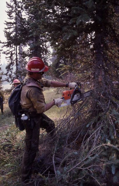 Firefighters using chainsaw in fuel reduction mode before fire hits Picture